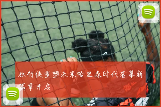 独行侠重塑未来哈里森时代落幕新篇章开启